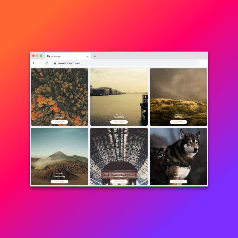 Feature Grid Section